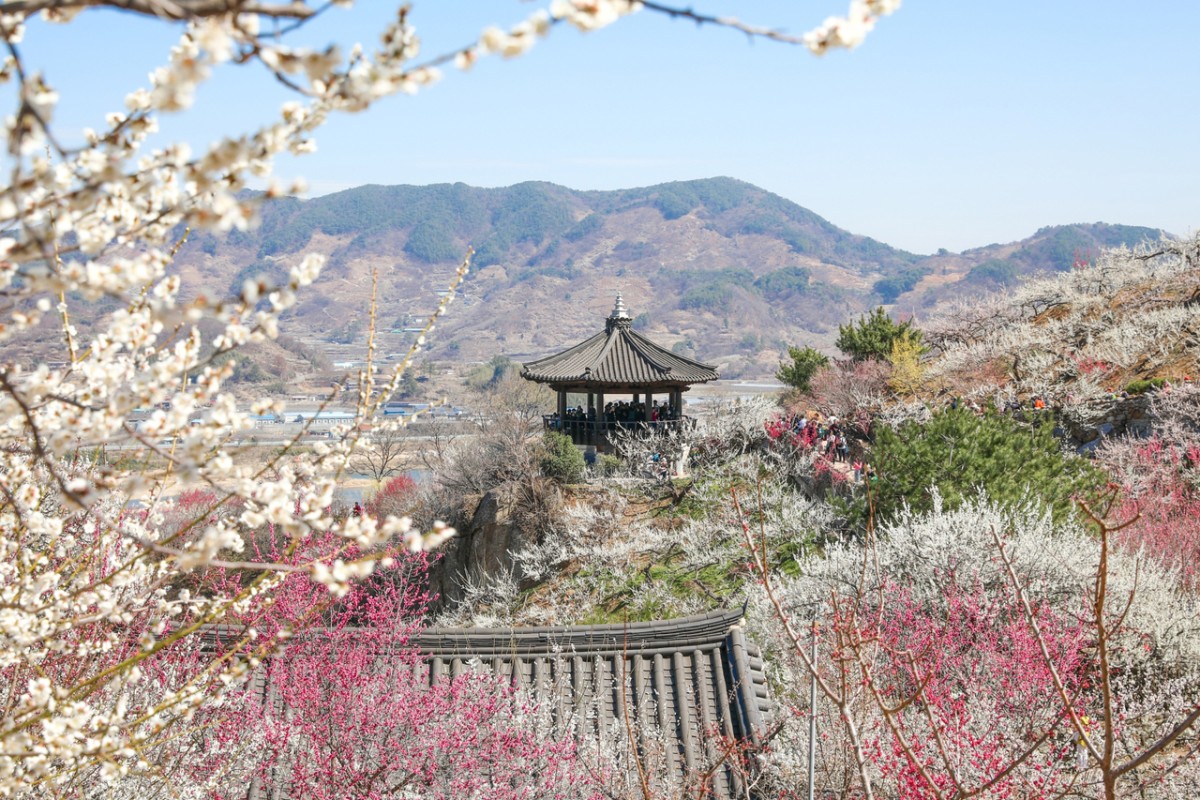 Festivals, sights across Korea