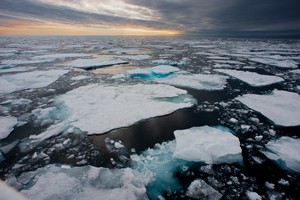 Arctic sea ice among lowest on record: AFP review of US data